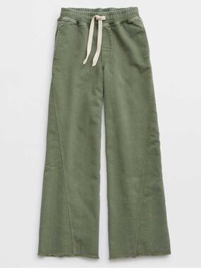 Aerie NWT Soft Landing Wide Leg Trouser